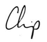 Chip signature
