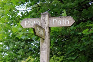 discernment paths