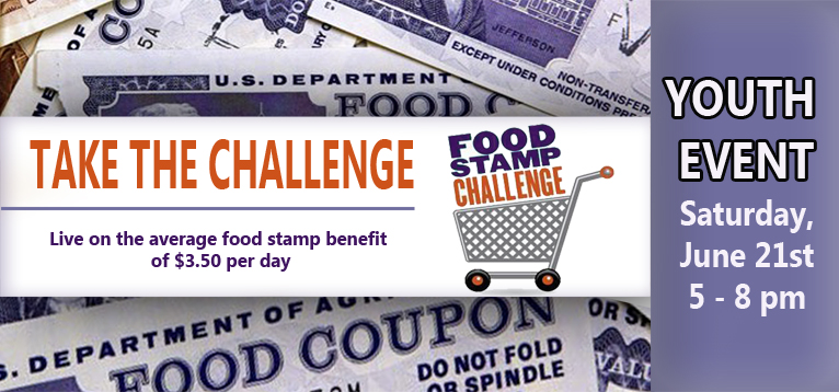 Food Stamp Challenge  GRAPHIC
