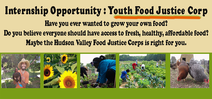 Youth Food Justice POST